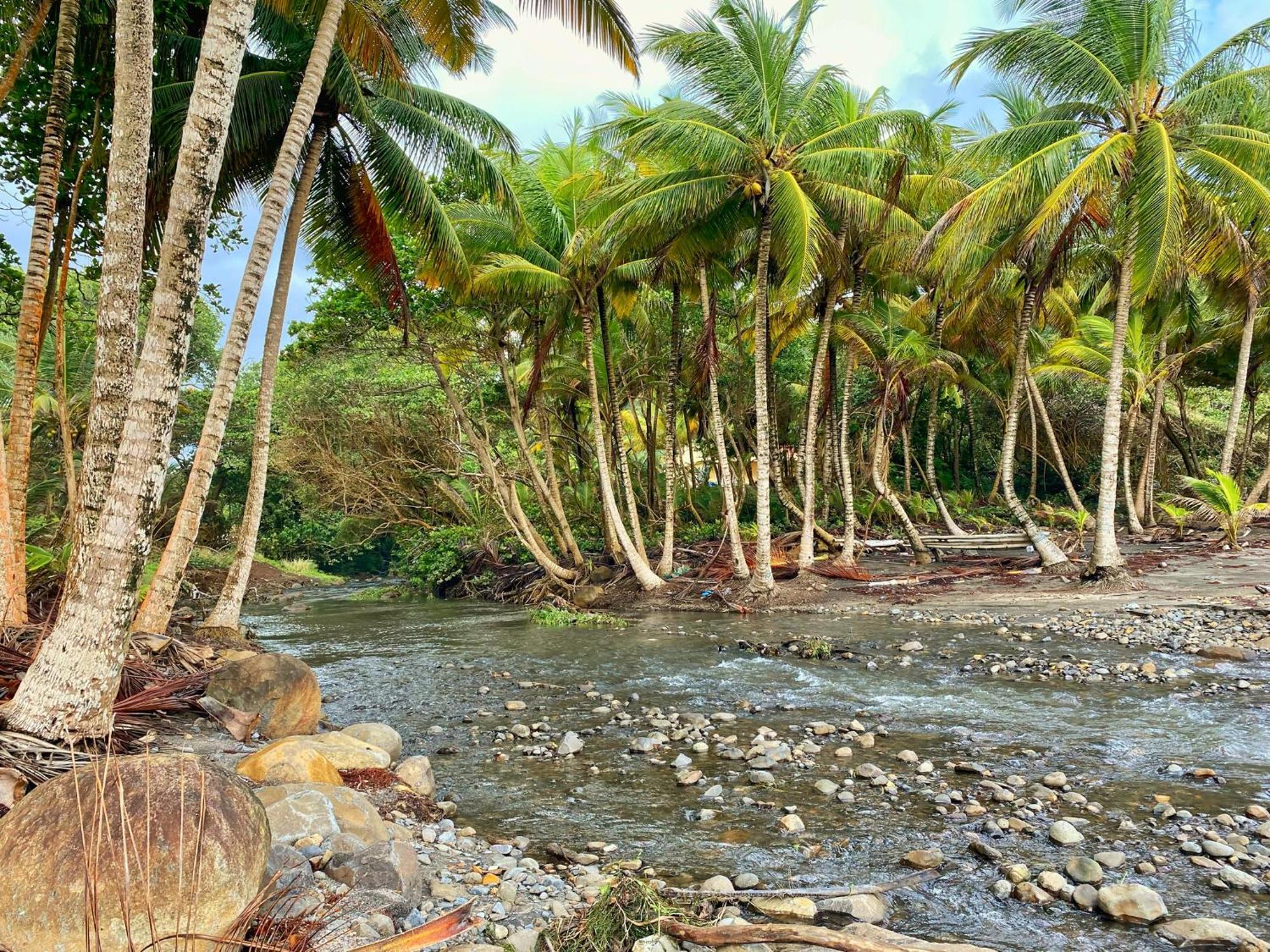 Maison D'O Baie De Saint-Jacques, Sur Une Plage Sauvage Sainte-Marie Esterno foto