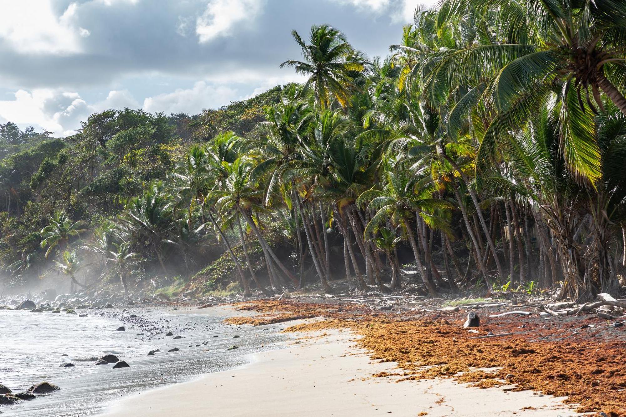 Maison D'O Baie De Saint-Jacques, Sur Une Plage Sauvage Sainte-Marie Esterno foto