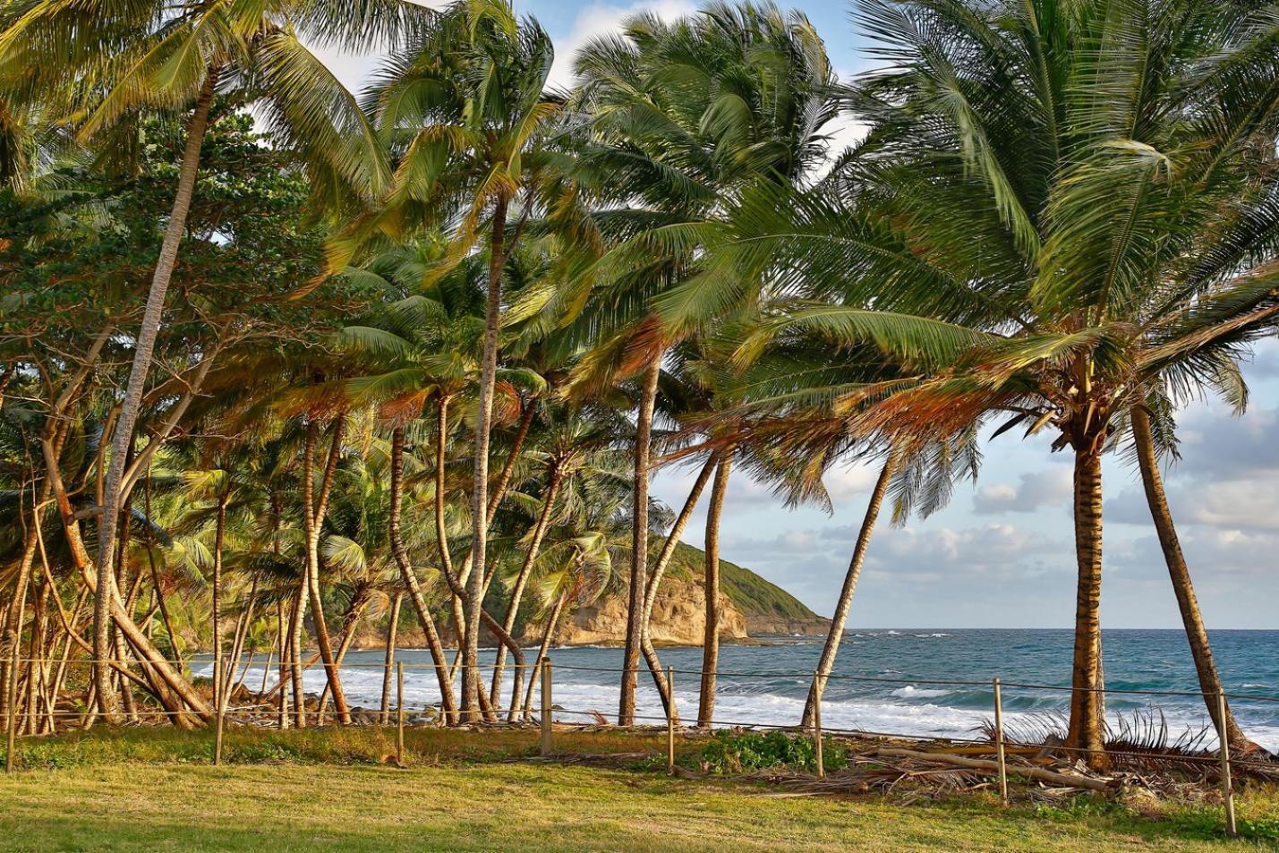 Maison D'O Baie De Saint-Jacques, Sur Une Plage Sauvage Sainte-Marie Esterno foto